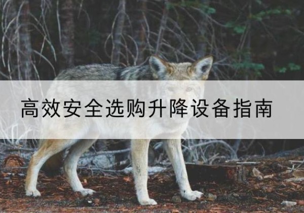 兰溪升降货梯厂家推荐-*安全选购升降设备指南