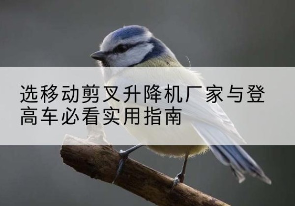 兰溪电动升降机厂家-选移动剪叉升降机厂家与登高车必看实用指南