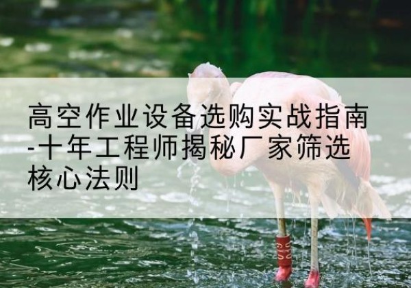 兰溪剪叉式升降机厂家-高空作业设备选购实战指南-十年工程师揭秘厂家筛选核心法则